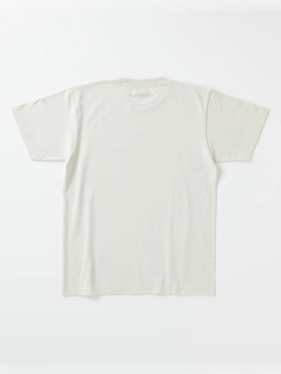 コットン厚手Tシャツ-apappo epuy- (SALT)