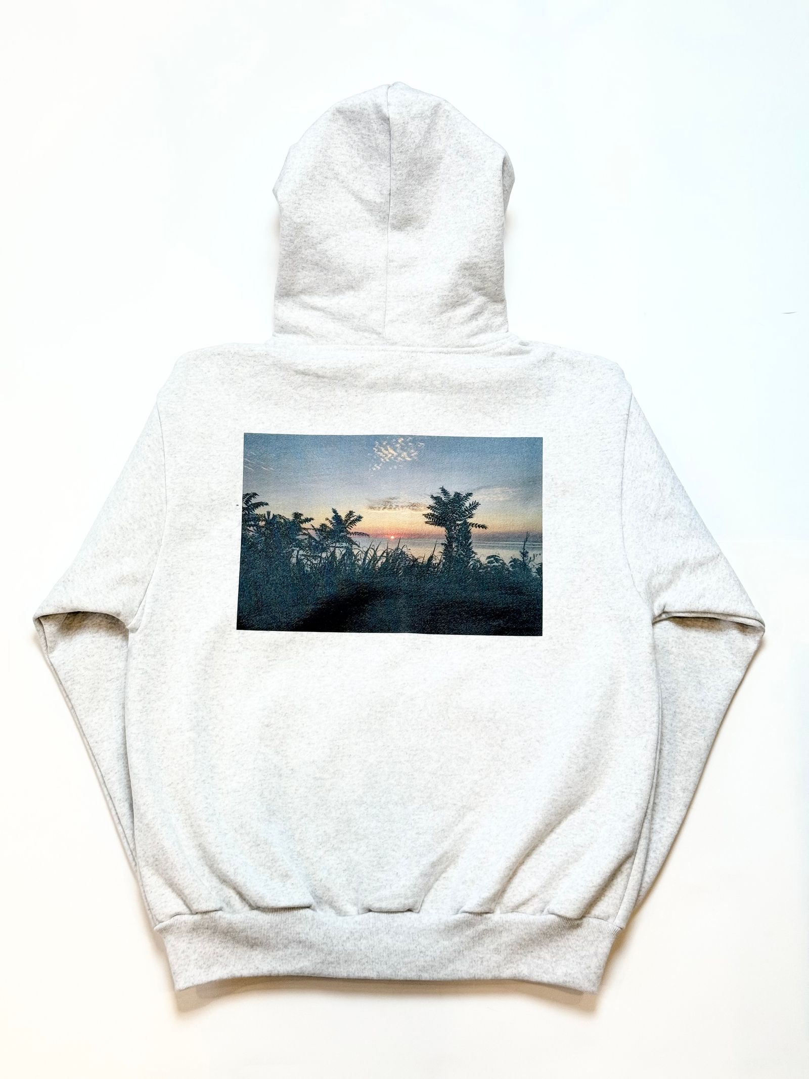 "ENCOUNTER" PHOTO FULL ZIP HOODIE (ASH GRAY)
