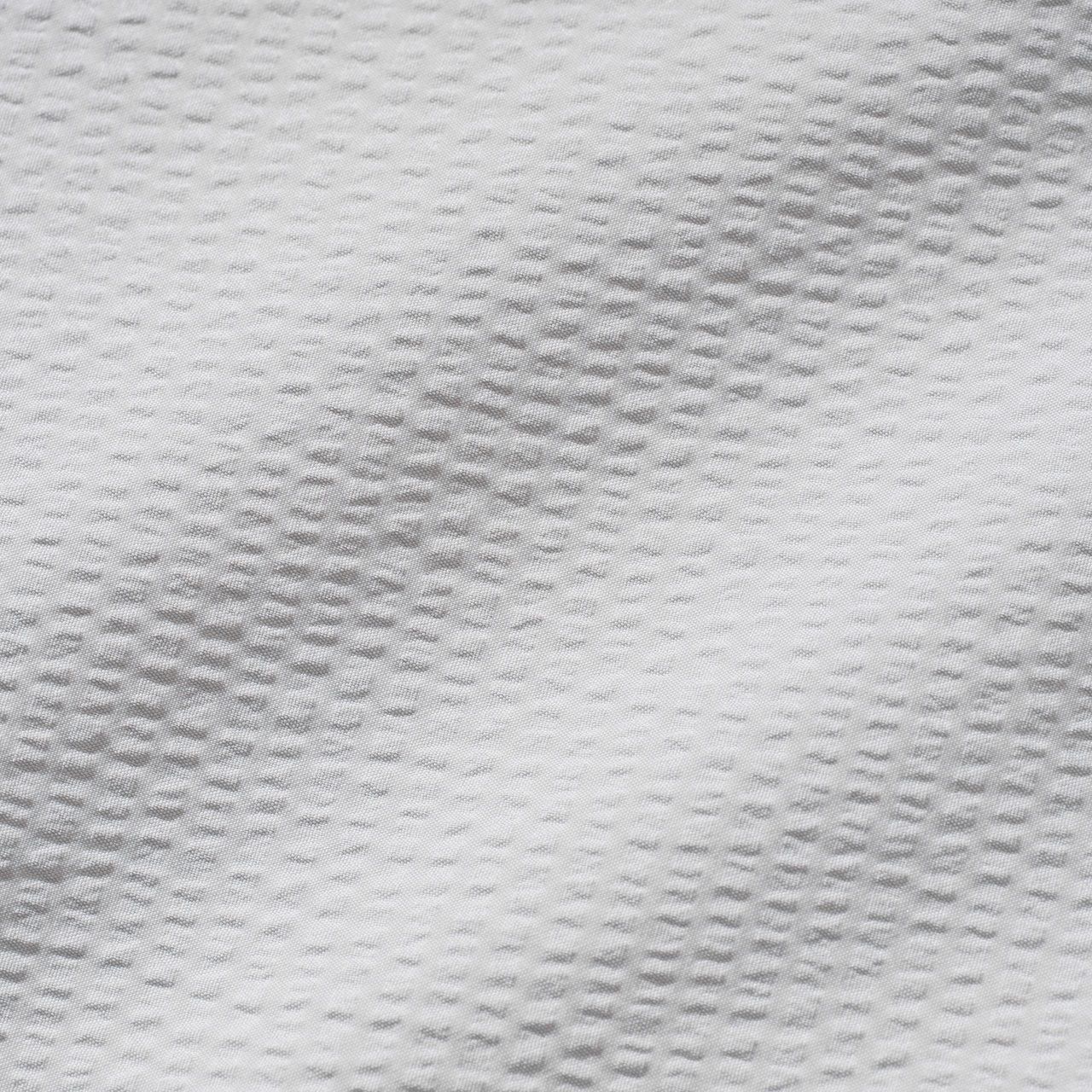 FISHDOMシャツS/S /ライトグレー