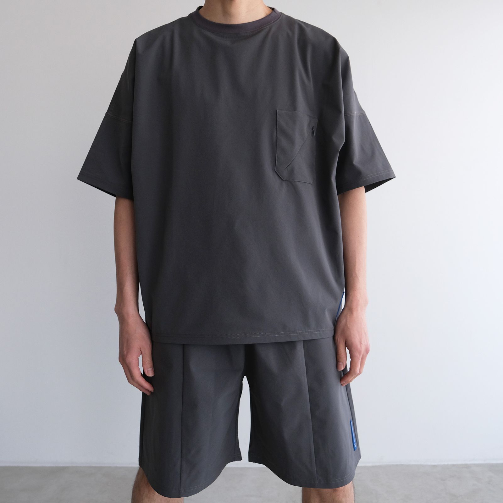Amphibious T-Shirt -Tシャツ-（Gray / グレー）