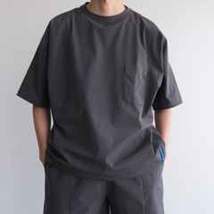 Amphibious T-Shirt -Tシャツ-（Gray / グレー）
