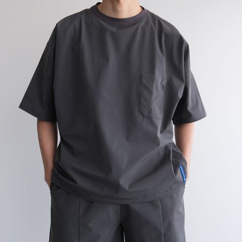 Amphibious T-Shirt -Tシャツ-（Gray / グレー）