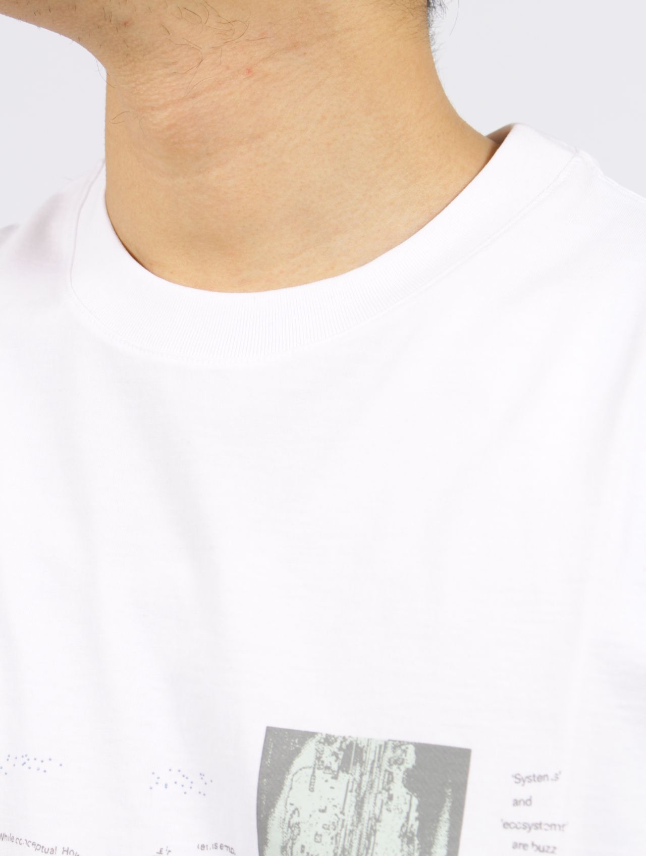 Tシャツ・カットソー SAN SAN GEAR : 25SS / ORGAN SYSTEM T-SHIRT (2COLORS) SAN SAN GEAR】25SS / ORGAN SYSTEM T-SHIRT (2COLORS) (San San