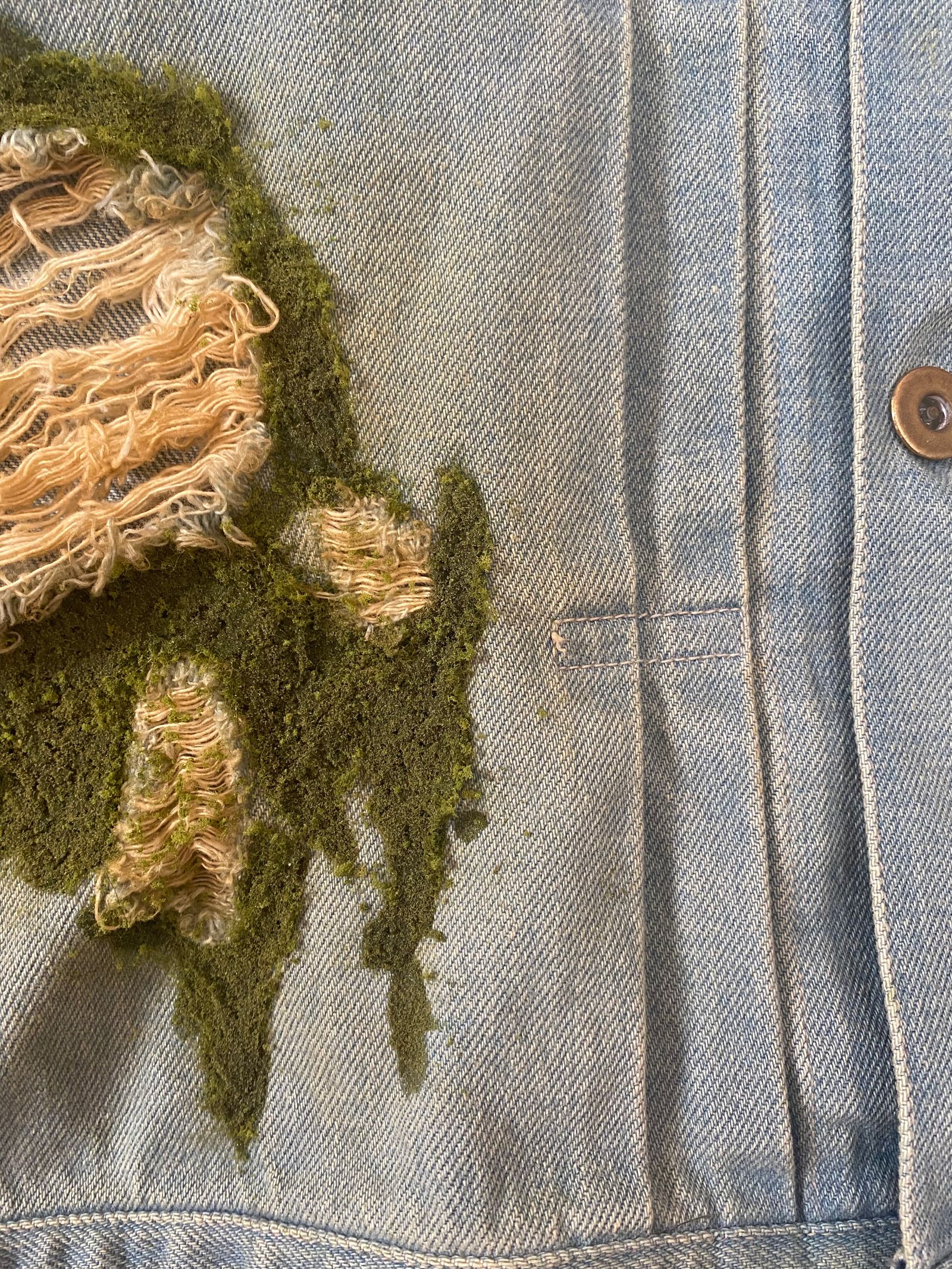【26SS】ブライオファイト デニムジャケット / BRYOPHYTE DENIM JACKET / ライトインディゴ