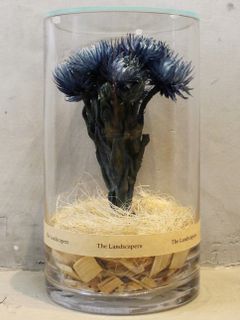 インディゴ染め ドライシリンダー / DRY CYLINDER INDIGO DYE with LID / Silver Daisy (シルバーデイジー)