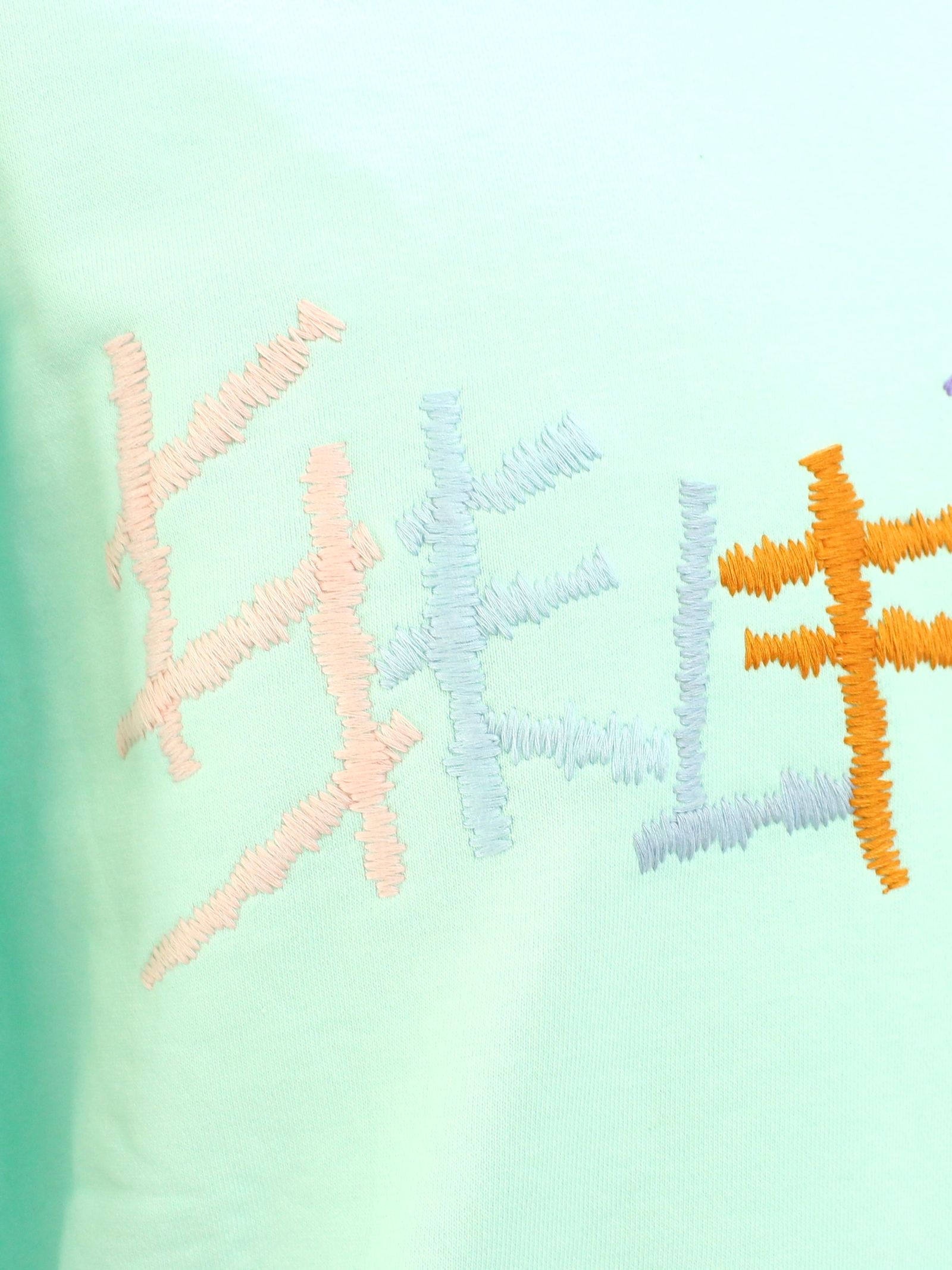 刺繍ロゴ スウェット / FAIR AQUA SWEATSHIRT WITH MULTI LOGO / アクア × マルチ