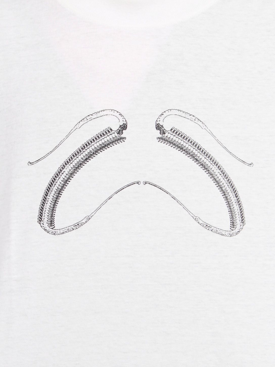 【25AW】25 ロングスリーブ Tシャツ / 25 LS TEE (×Jinjinneedle) / ホワイト