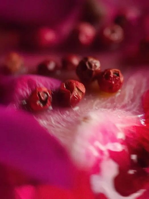 香水 オー ド パルファム / EAU DE PARFUM / PETALOSO<ペタローゾ>