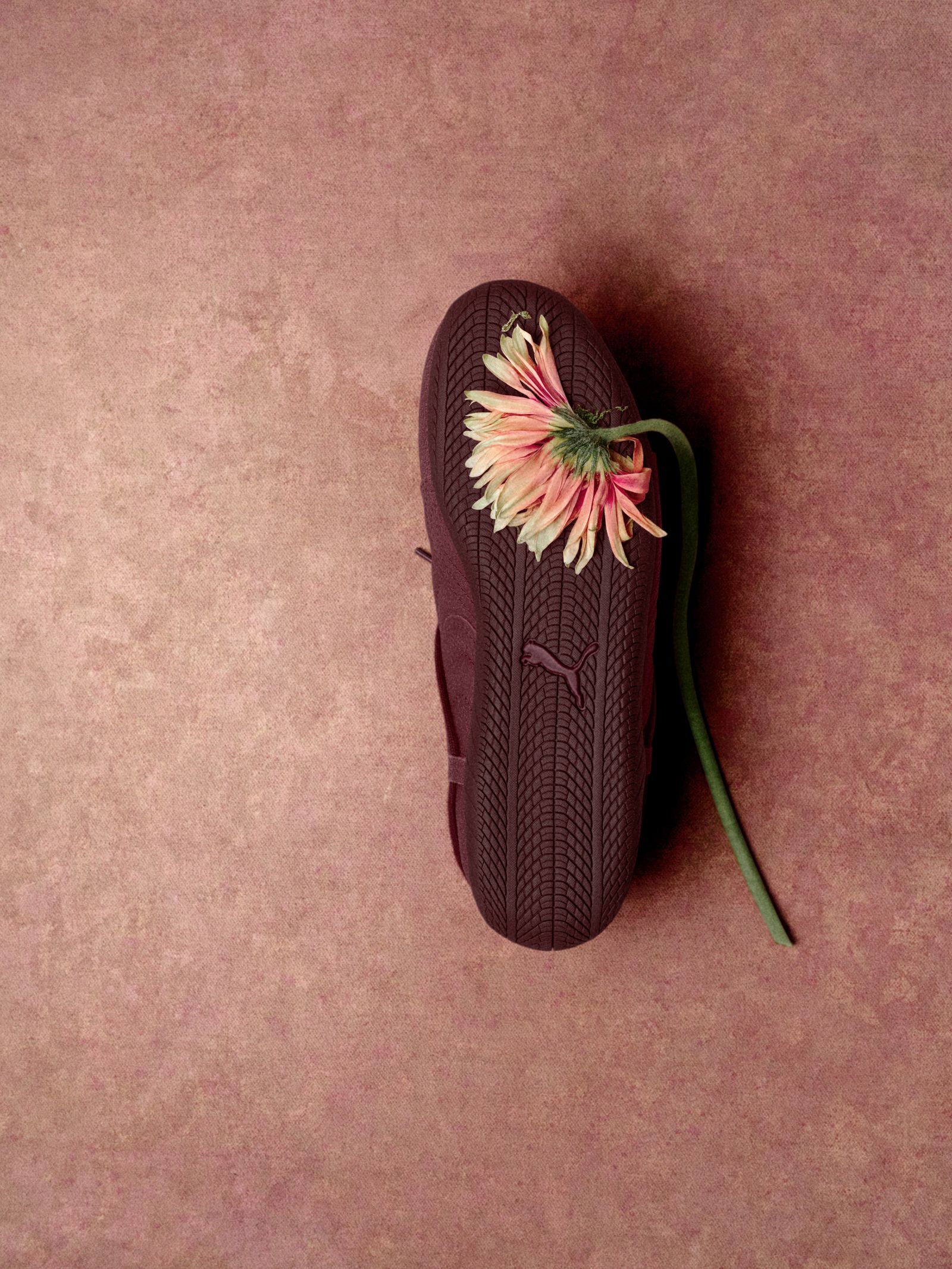 【BLACKPINK ブラックピンク ロゼコラボ】 スピードキャット スニーカー / SPEEDCAT VTG BURGUNDY X ROSE / 01 BURGUNDY-AUBE ( レッド )