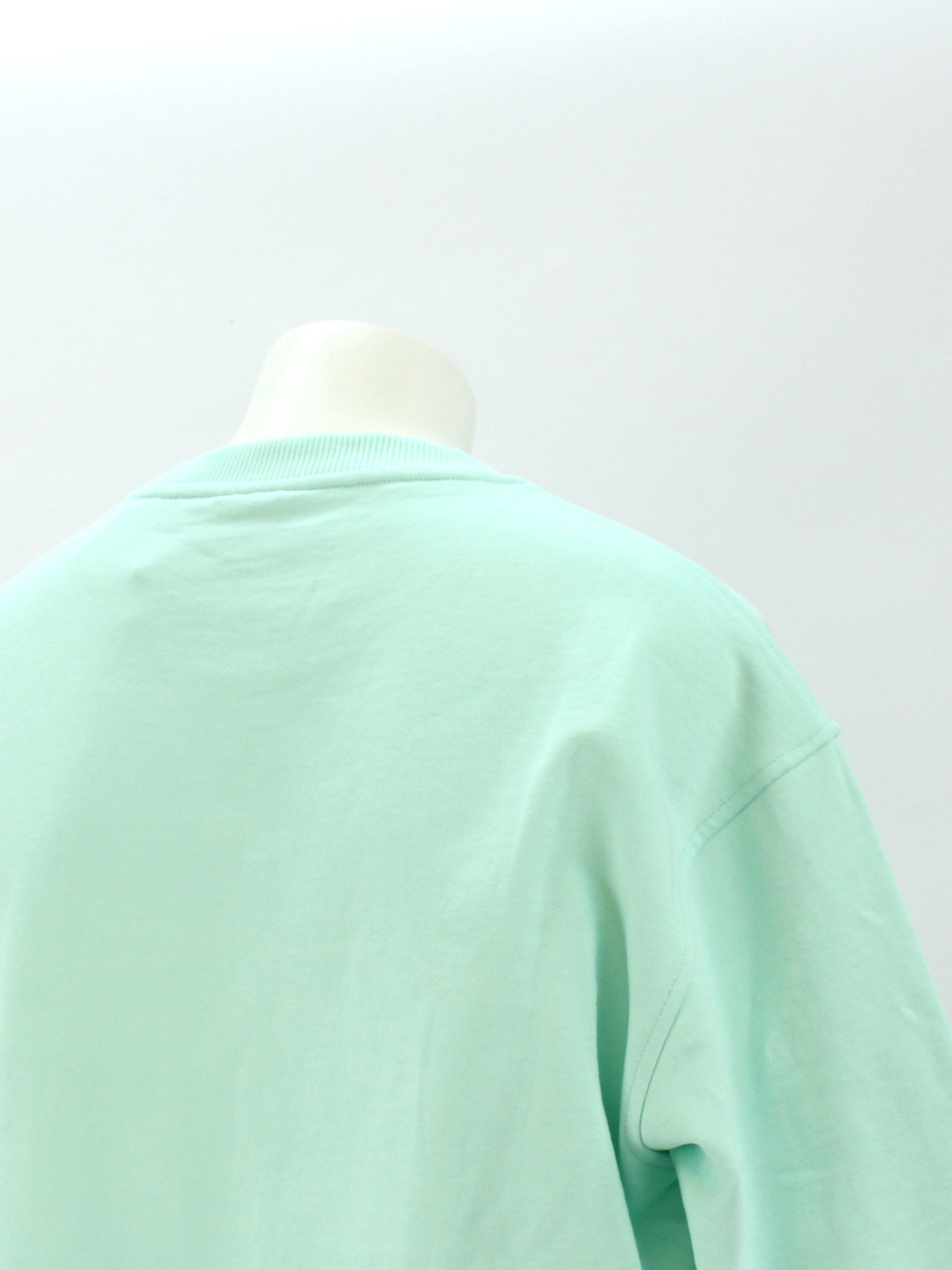 刺繍ロゴ スウェット / FAIR AQUA SWEATSHIRT WITH MULTI LOGO / アクア × マルチ