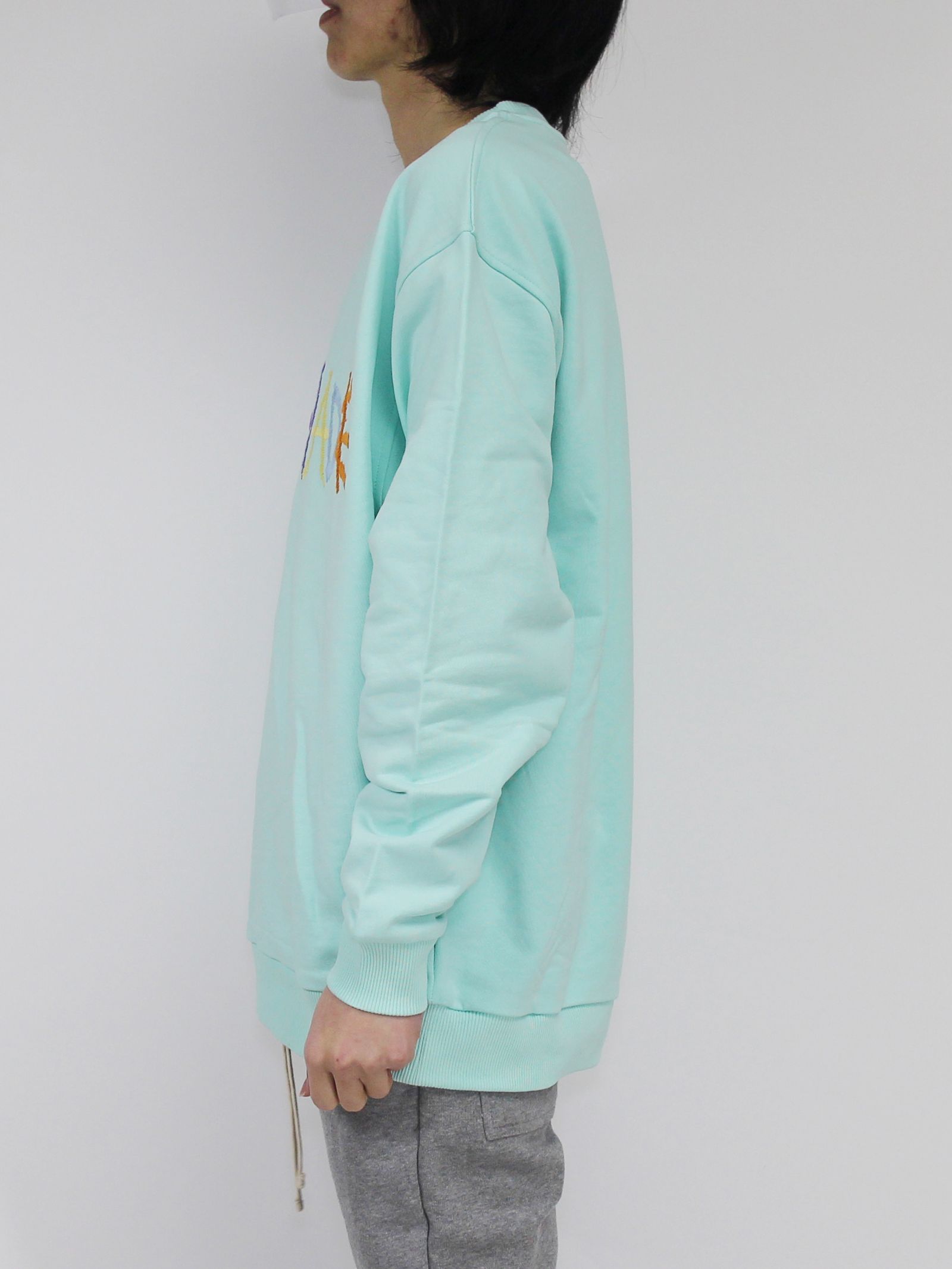 刺繍ロゴ スウェット / FAIR AQUA SWEATSHIRT WITH MULTI LOGO / アクア × マルチ