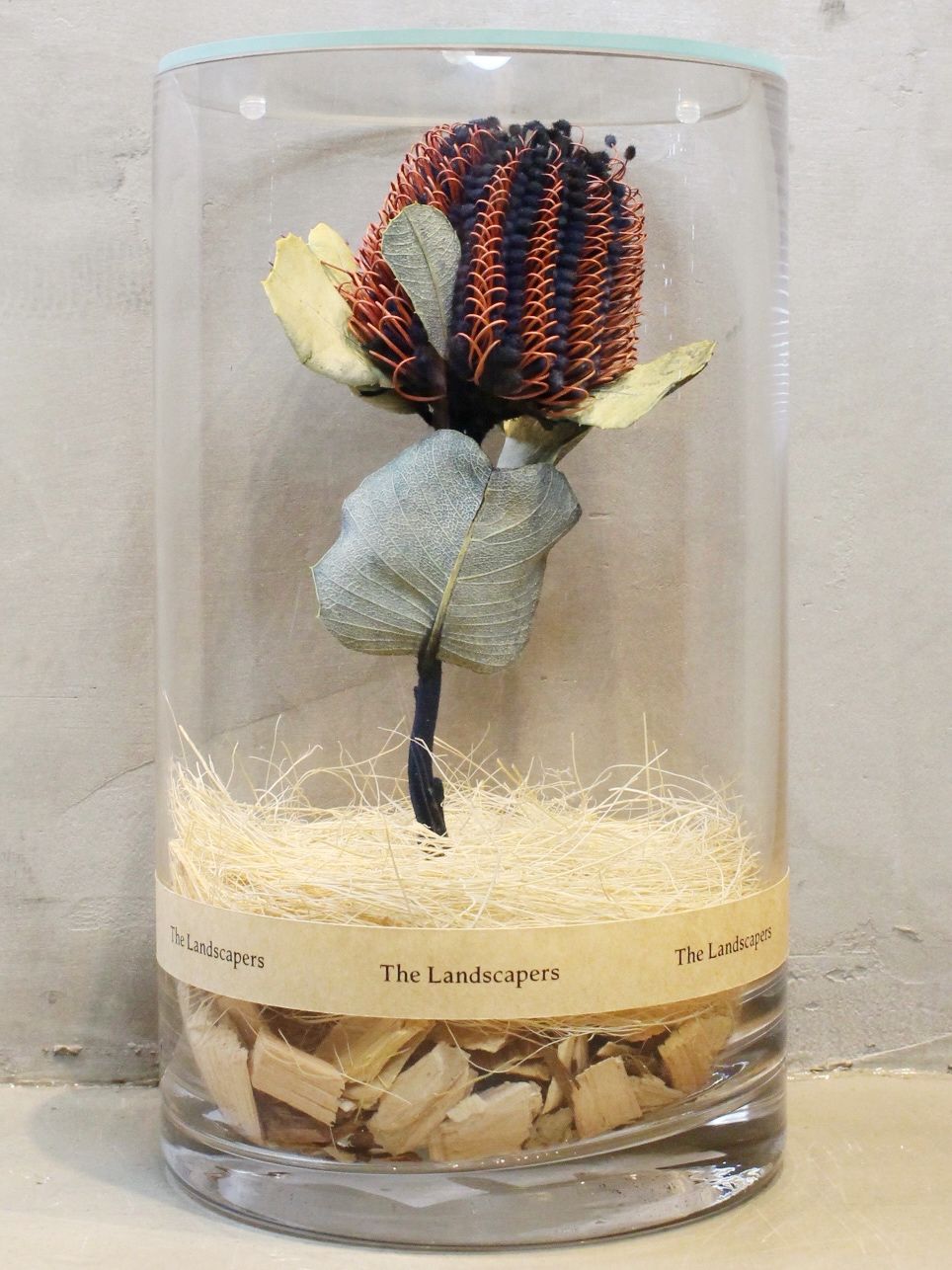 インディゴ染め ドライシリンダー / DRY CYLINDER INDIGO DYE with LID / Banksia Coccinea (バンクシア ココシネア)