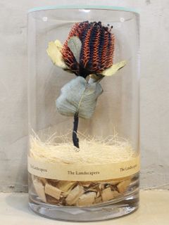 インディゴ染め ドライシリンダー / DRY CYLINDER INDIGO DYE with LID / Banksia Coccinea (バンクシア ココシネア)