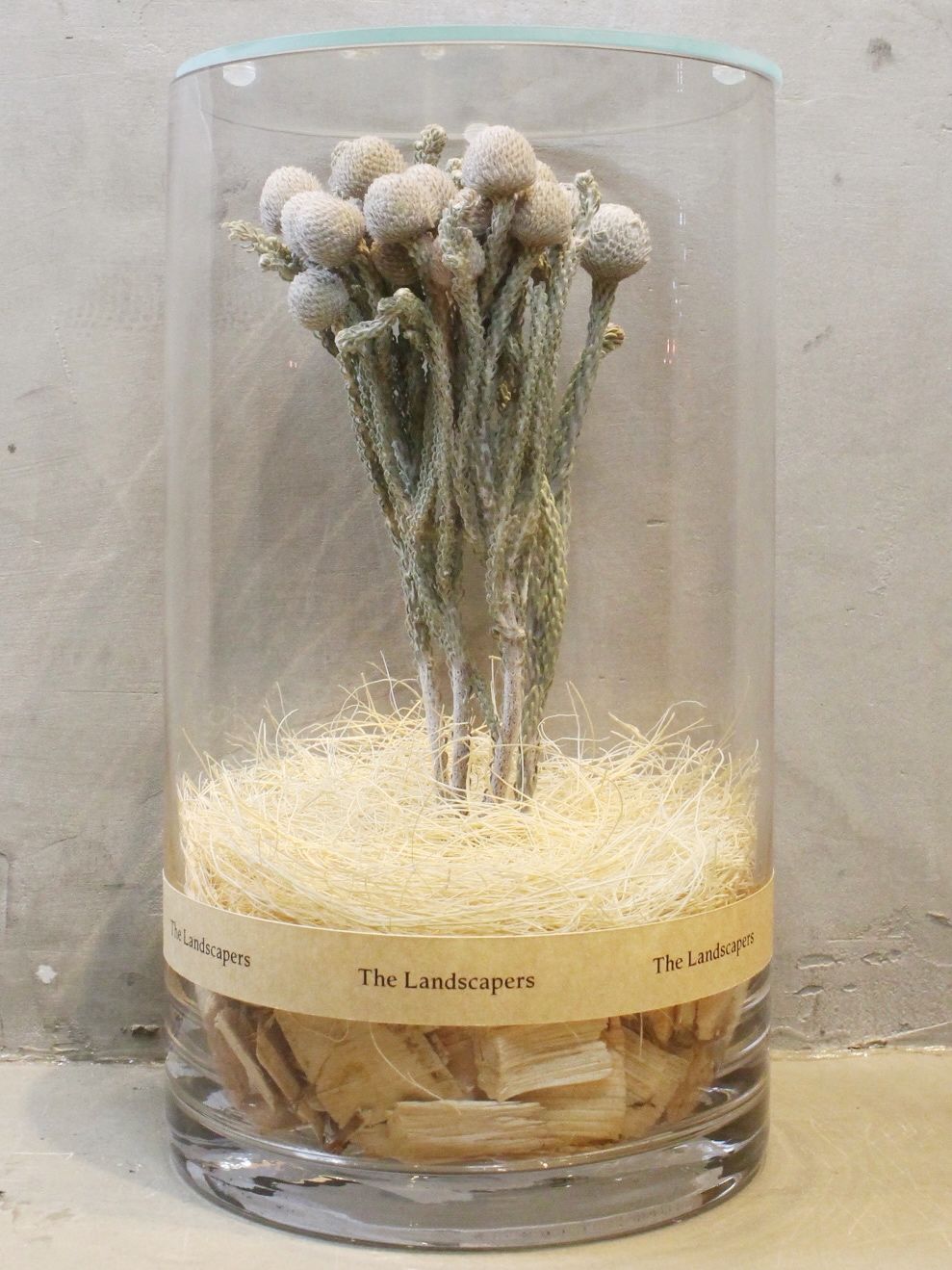 ドライシリンダー / DRY CYLINDER with LID / Brunia (ブルニア)