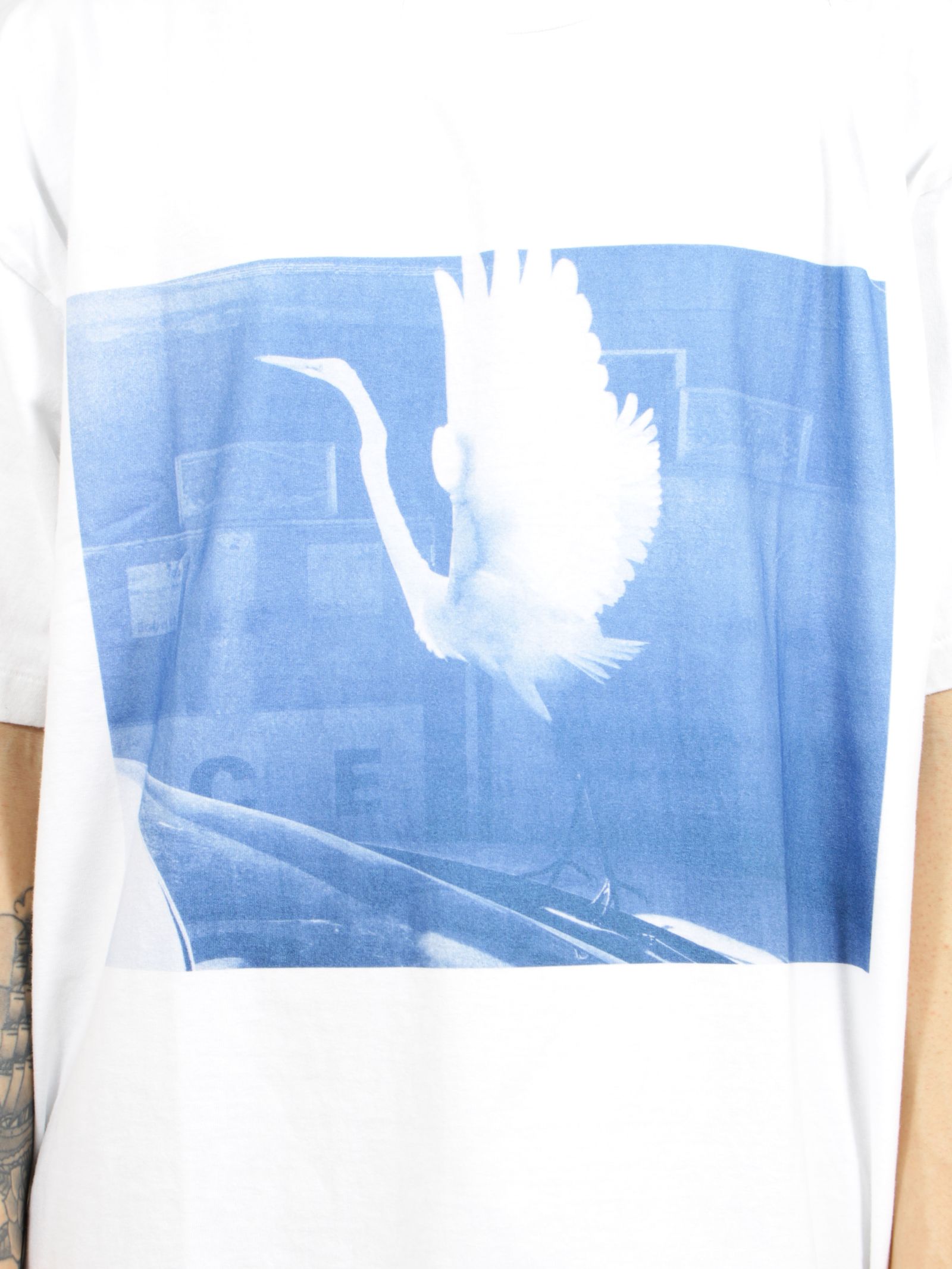 【26SS】ティム・バーバー フォトグラフ バード Tシャツ オニータ / Tim Barber Photograph BIRD T-SHIRT ONIETA / ホワイト