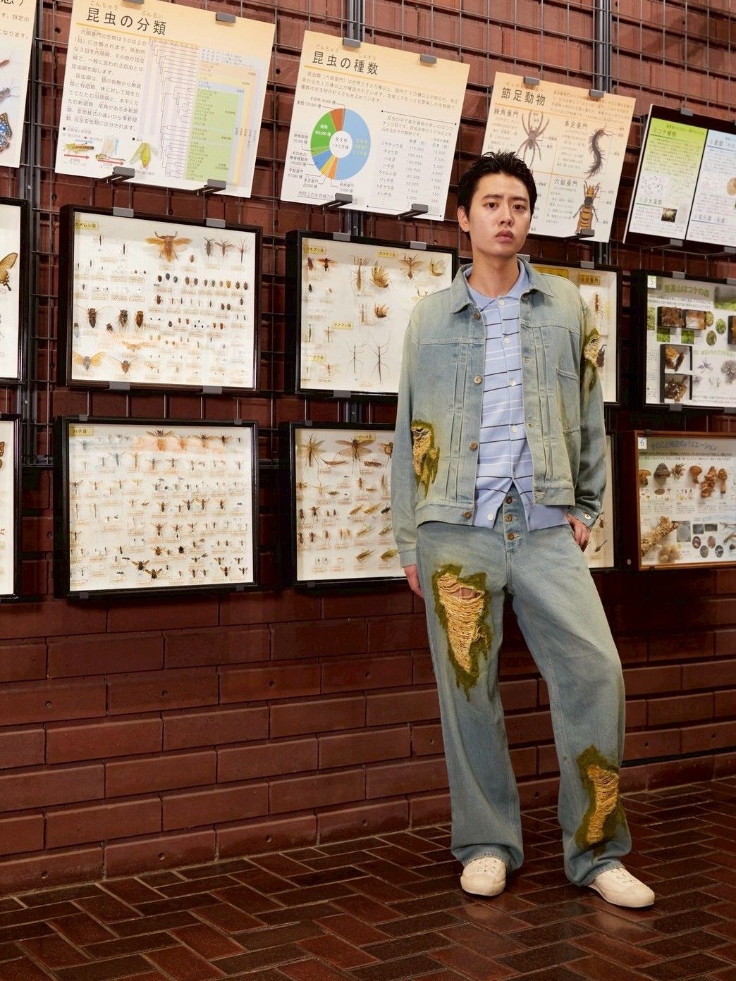 【26SS】ブライオファイト デニムジャケット / BRYOPHYTE DENIM JACKET / ライトインディゴ