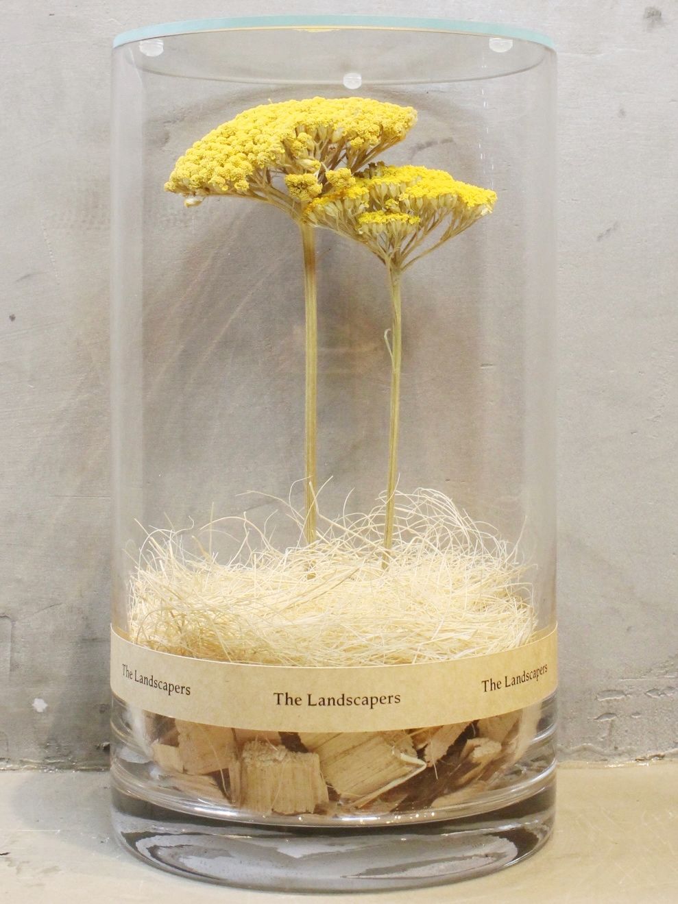 ドライシリンダー / DRY CYLINDER with LID / Achillea (アキレア)