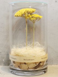 ドライシリンダー / DRY CYLINDER with LID / Achillea (アキレア)