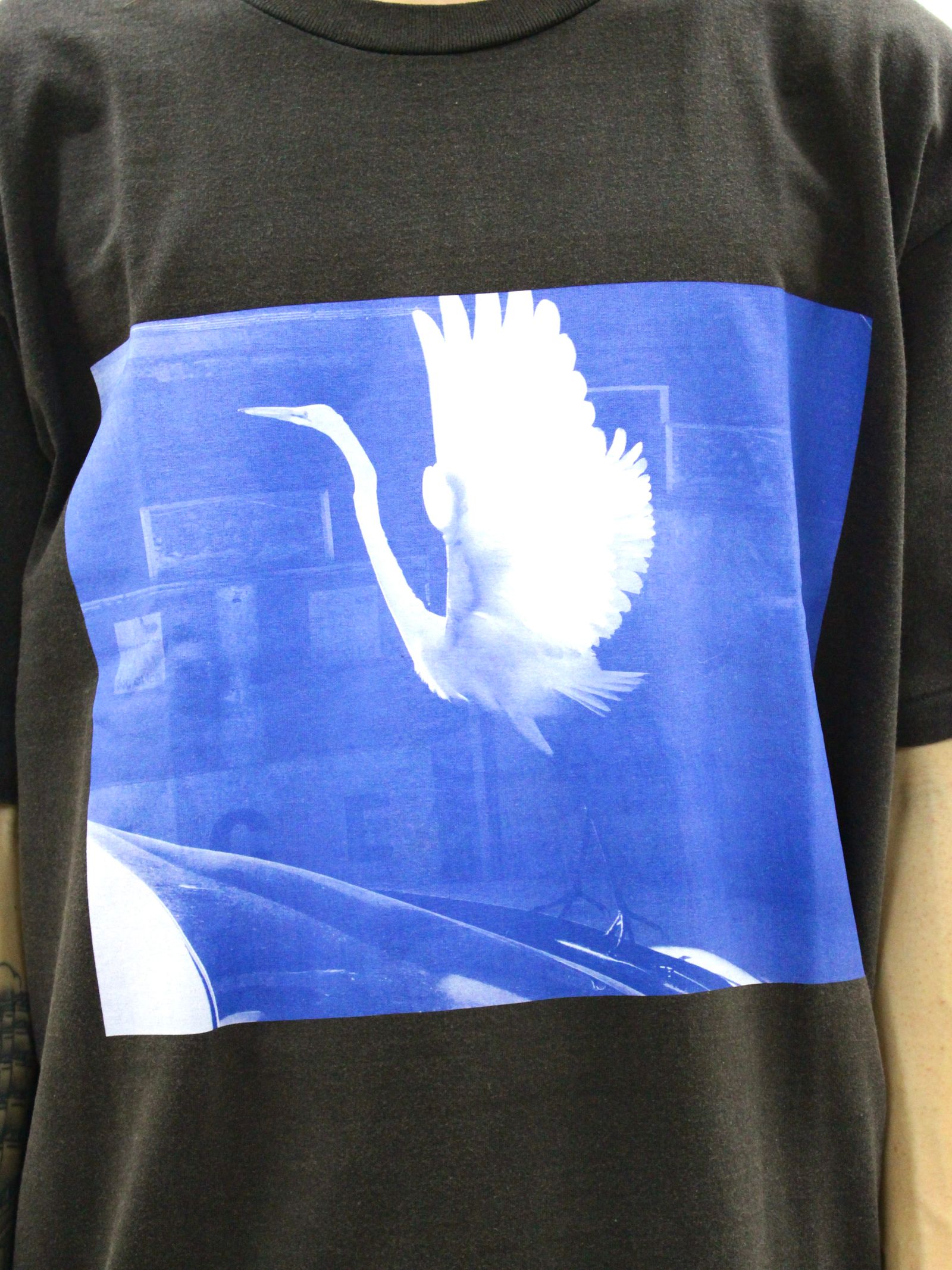 【26SS】ティム・バーバー フォトグラフ バード Tシャツ オニータ / Tim Barber Photograph BIRD T-SHIRT ONIETA / ブラック