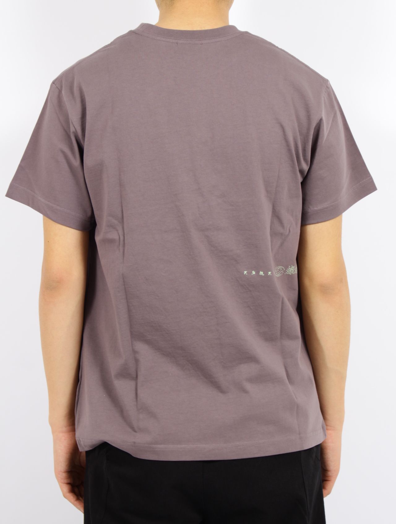 San San Gear 関税込 Organ System Tシャツ tshirt-3-1-289d7.jpg?fit=max&w