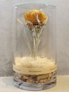 ドライシリンダー / DRY CYLINDER with LID / Dryandra (ドリアンドラ)