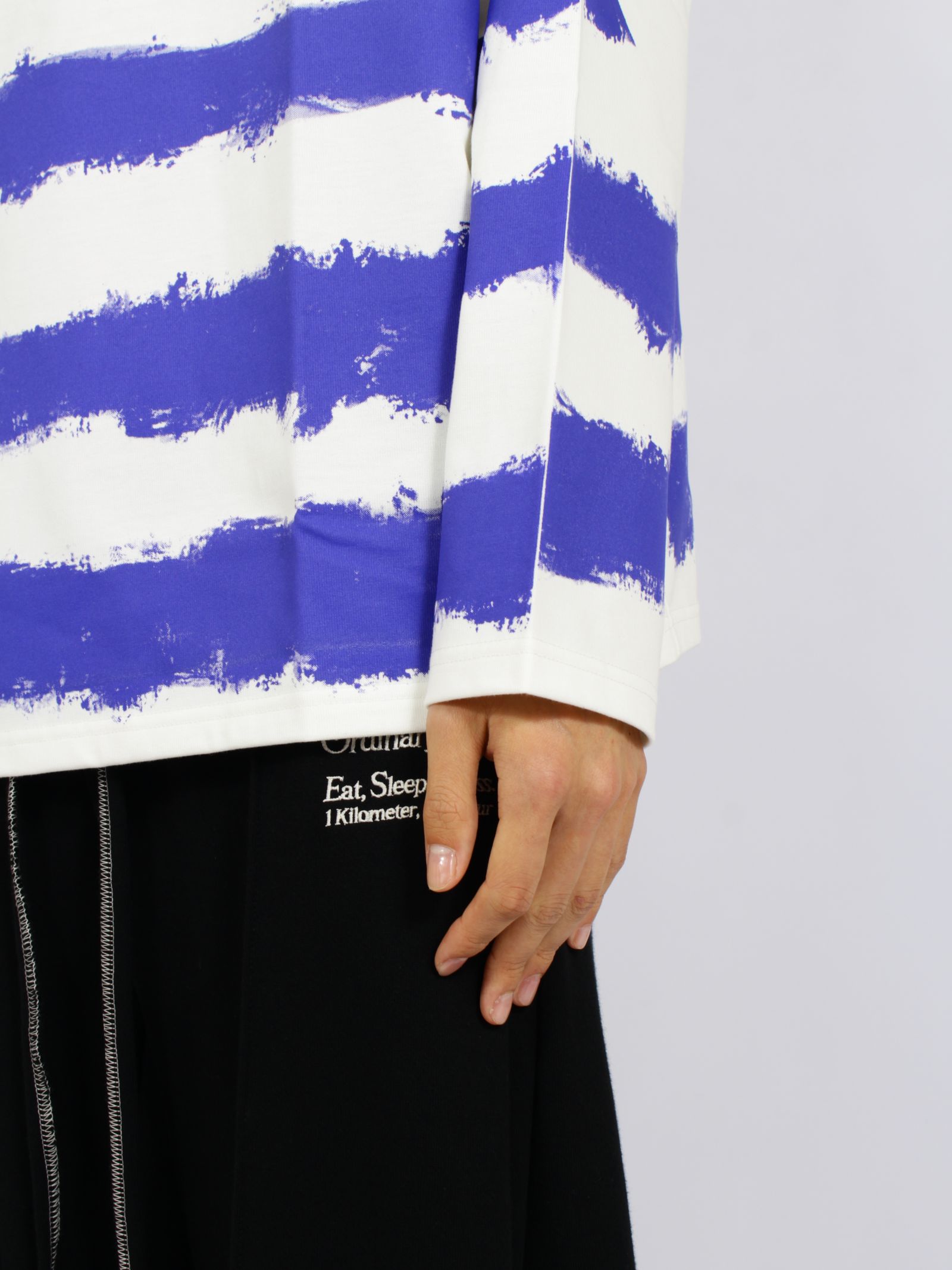【26AW】 ピクチャレスク バスク ペインティング Tシャツ ボーダーカットソー / PICTURESQUE BASQUE PAINTING(ROOM GARDENER) / ホワイト×ブルー