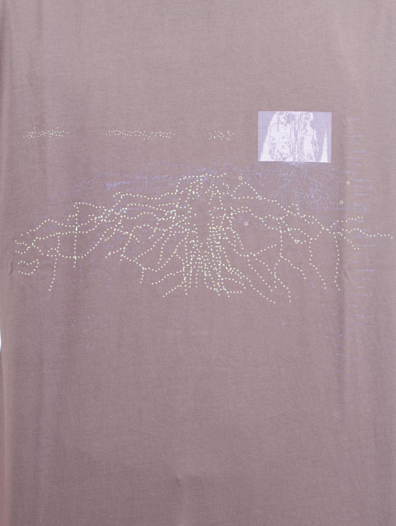 SAN SAN GEAR - 【25SS】オーガン システム 半袖 Tシャツ
