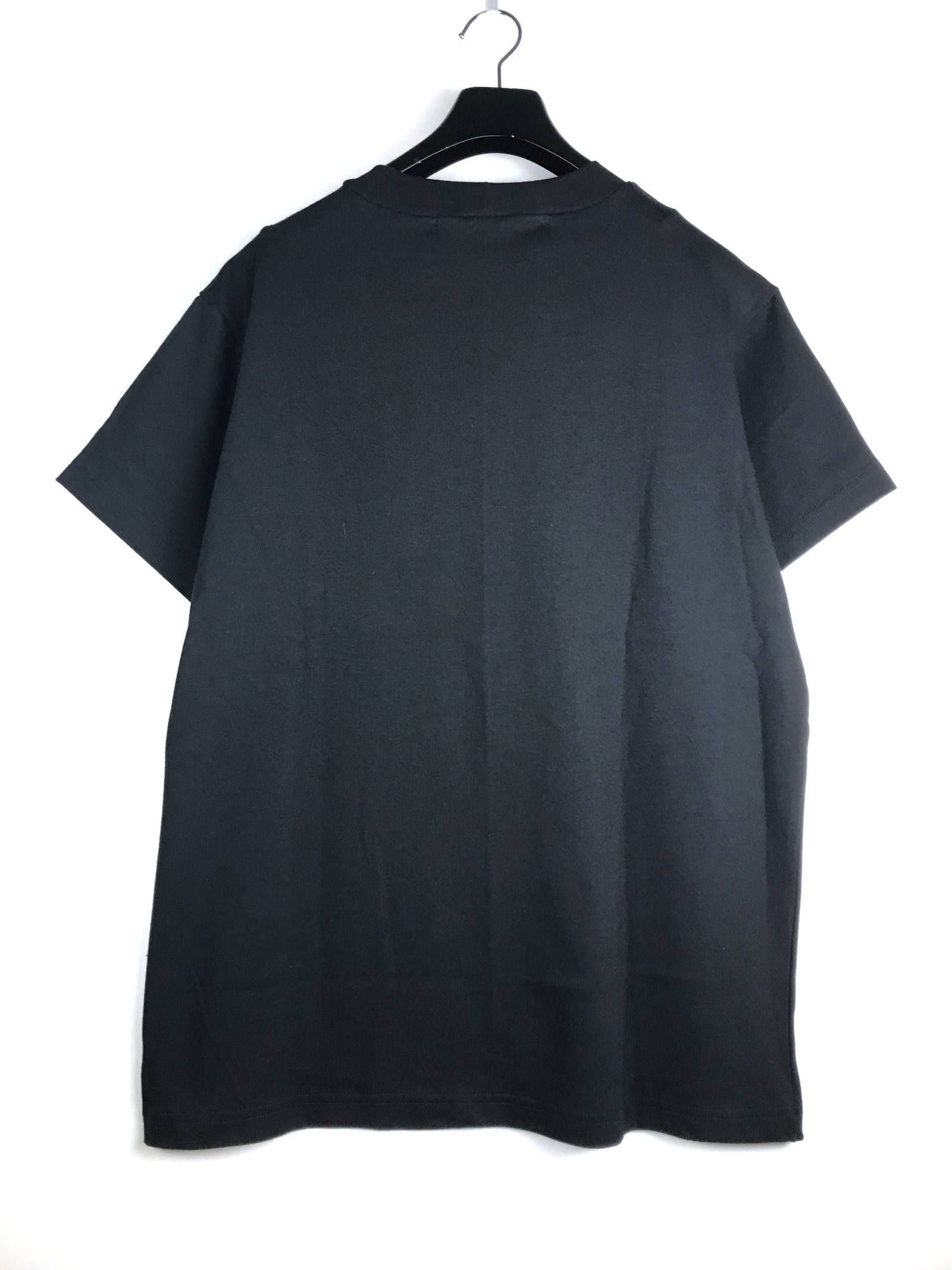 《残り一点》 ペガサス グラフィックカットソー T-SHIRT - BLACK