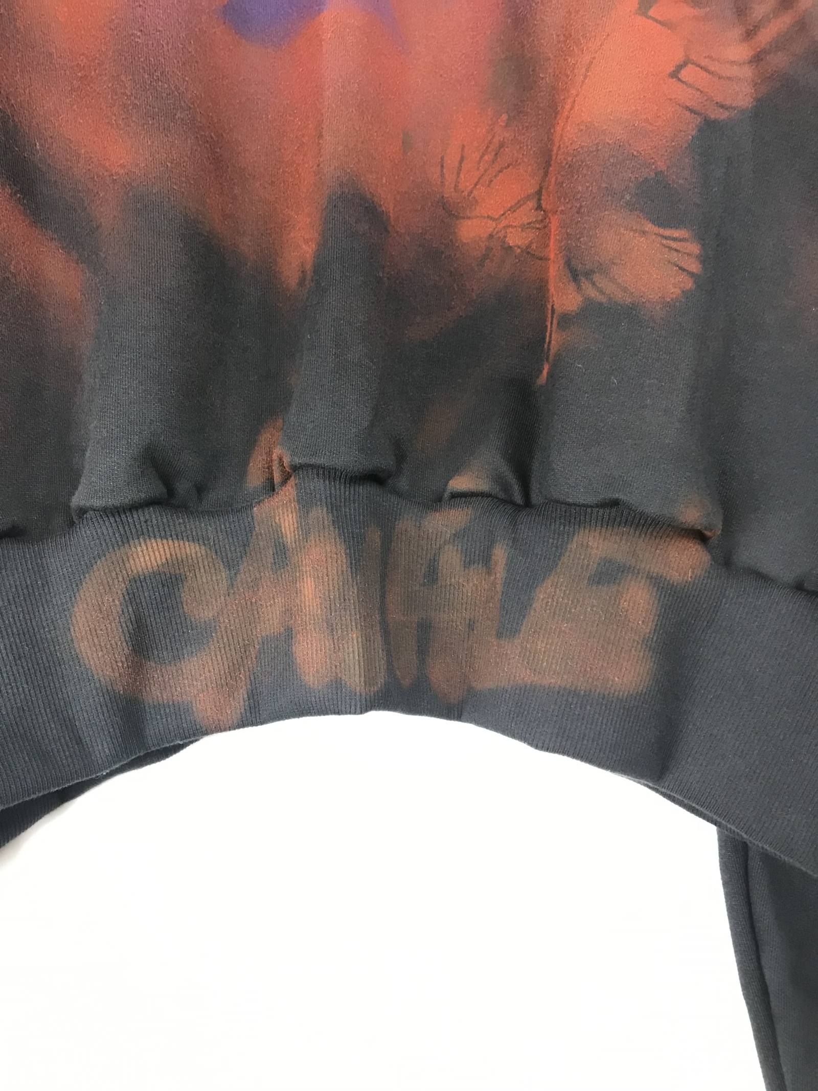 《L,XL残り各一点》 ドルフィングラフィック ショート丈パーカー HOODIE  - BLACK