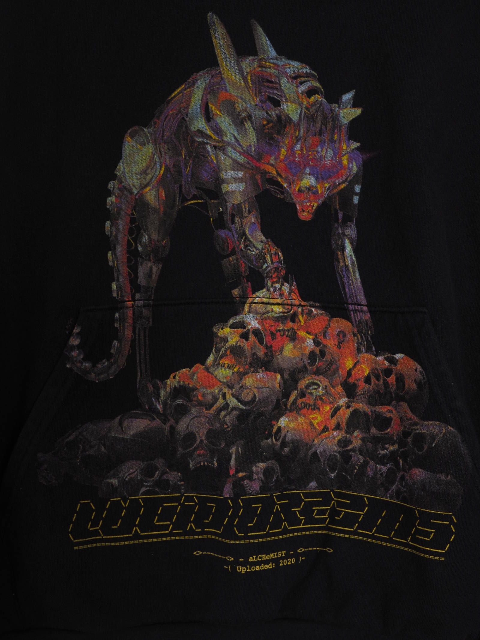 グラフィックプリント プルオーバー パーカー APEX HOODIE BLACK