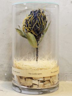 インディゴ染め ドライシリンダー / DRY CYLINDER INDIGO DYE with LID / Pincushion Veldfire (ピンクッション ヴェルドファイヤー)
