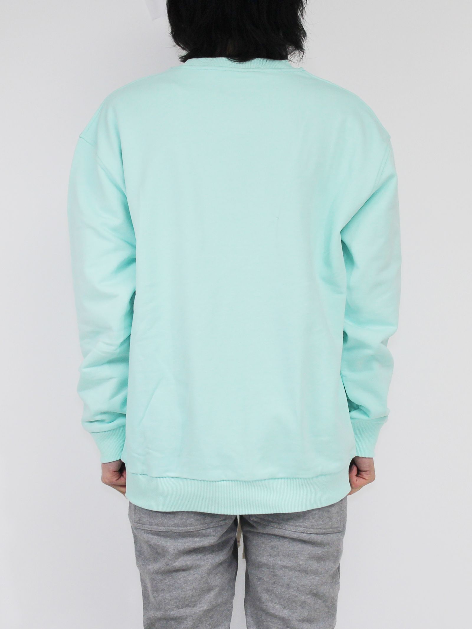 刺繍ロゴ スウェット / FAIR AQUA SWEATSHIRT WITH MULTI LOGO / アクア × マルチ