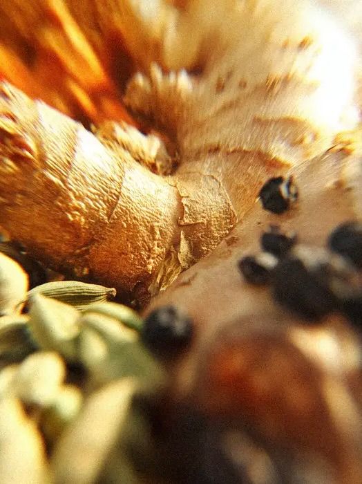 香水 オー ド パルファム / EAU DE PARFUM / MATTUTINO<マットゥティーノ>