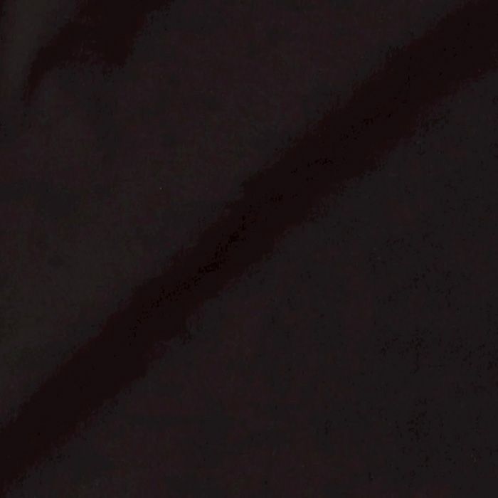 NYLON BAGGY LONG SHORTS  | BLACK