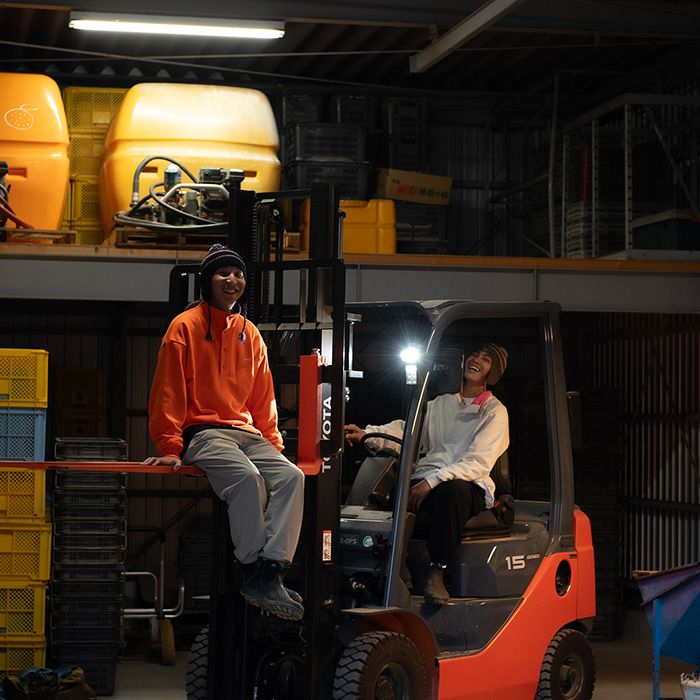 Acy - HI NECK SWEAT / ORANGE | Stripe Online Store