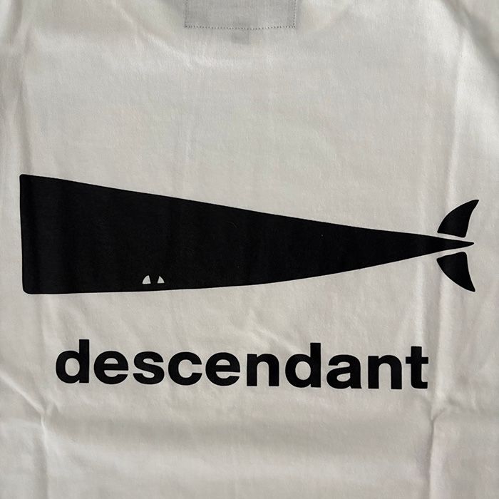 CACHALOT SS / WHITE