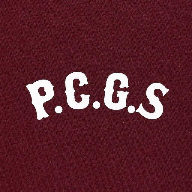 CIRCLE PORK TEE / BURGUNDY / プリントティー