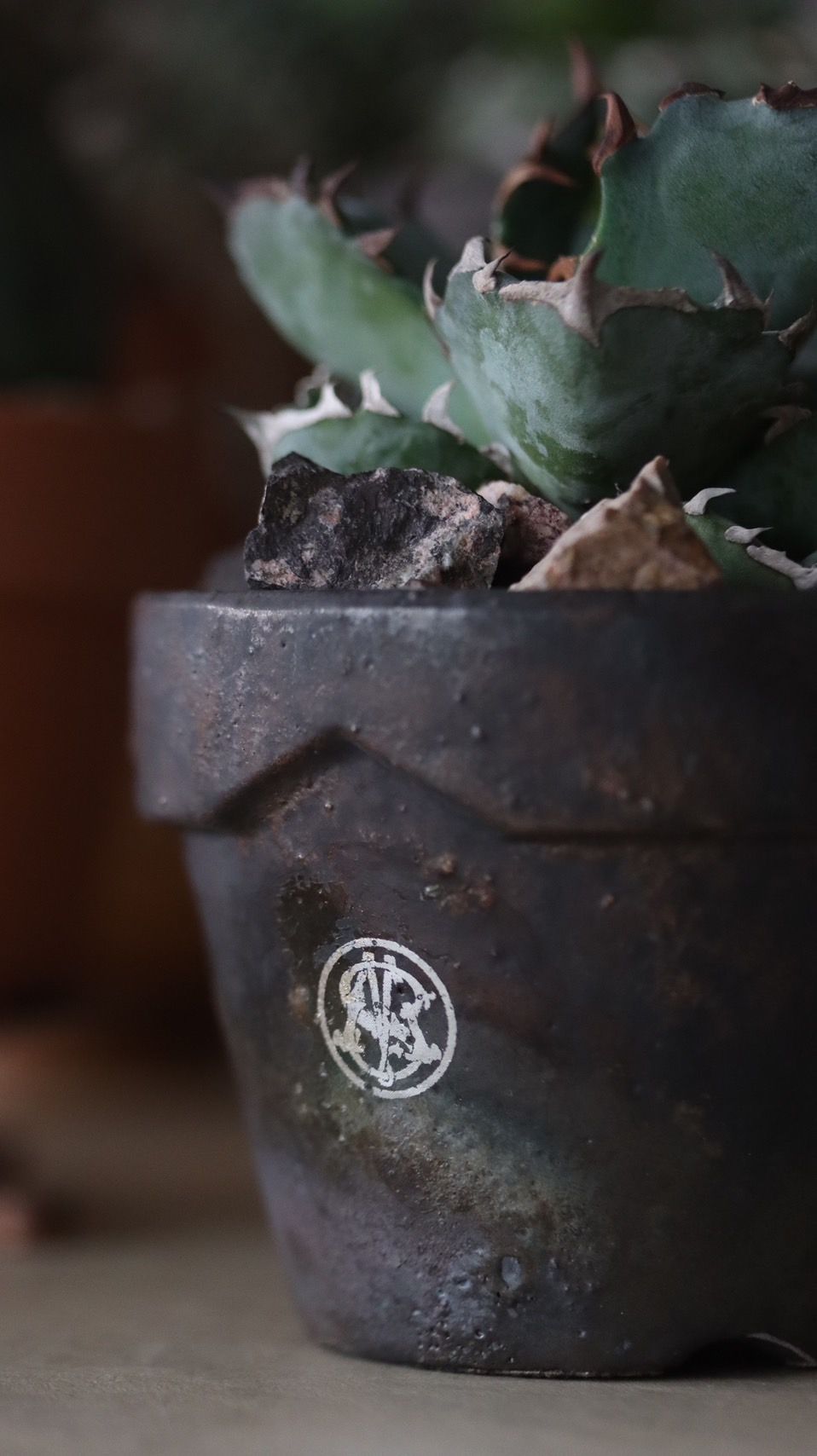MASSES×YAMABACHI takero pot / IRON CHARCOAL / 芽の巣山