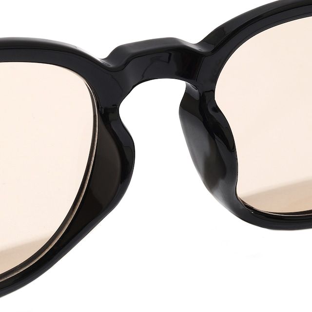SUNGLASSES Type 01 / BLACK×LIGHT BROWN
