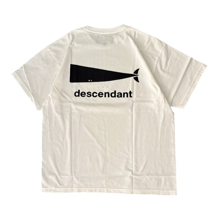 CACHALOT SS / WHITE