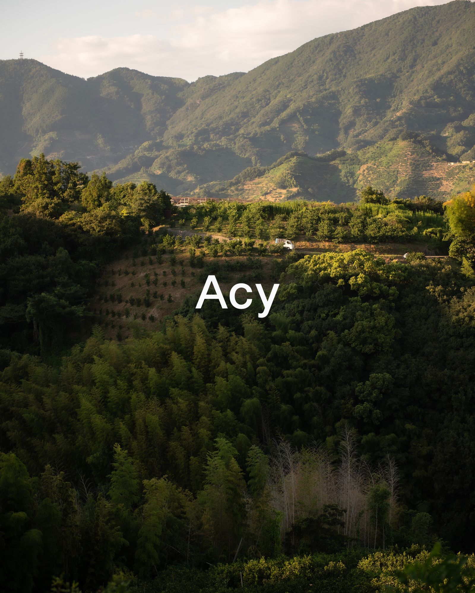 Acy 23AW LOOK