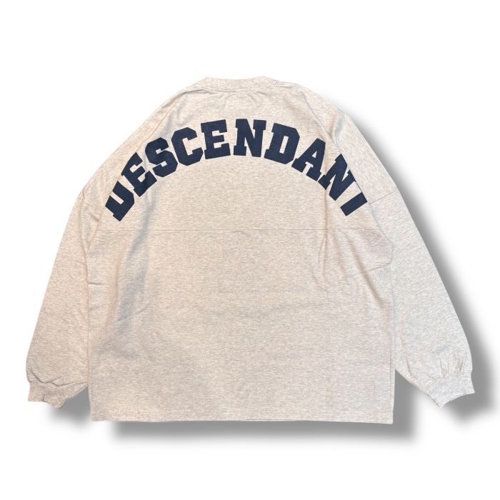 CETUS JERSEY LS / GRAY