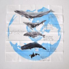 SEAFARERS BANDANA / WHITE