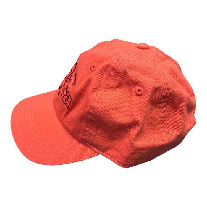 SSB Logo Ball Cap / PINK