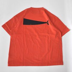 CACHALOT ORGANIC COTTON SS PIGMENT DYE / ORANGE