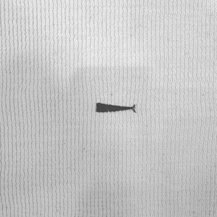 CACHALOT WAFFLE LS / WHITE