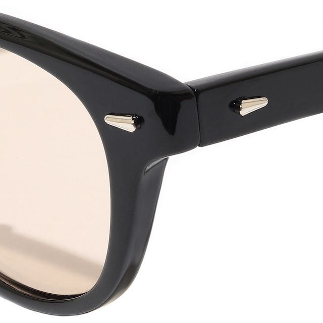 SUNGLASSES Type 01 / BLACK×LIGHT BROWN