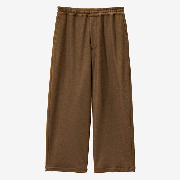 Wool Smooth Flannel Easy Wide Pants  / BROWN