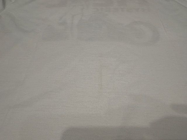 [目立たない汚れありラスト1点 サイズXL] HELL HYSTERIC Tシャツ / ホワイト
