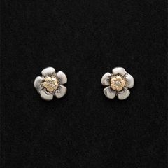 Harmony Stud Earrings （Diamond） / GA017